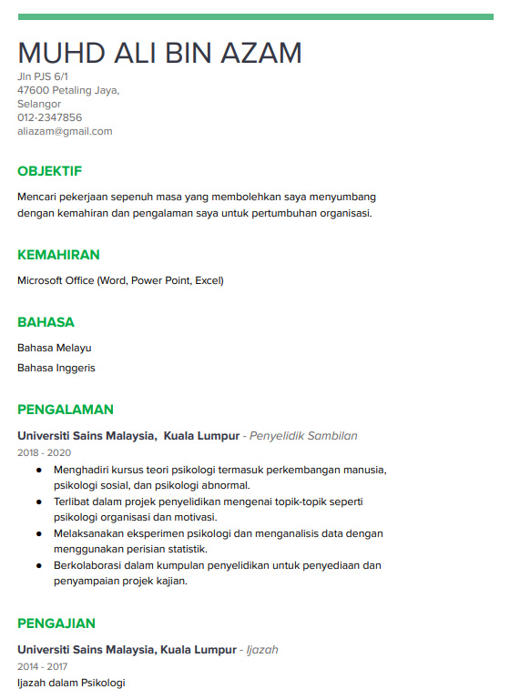 Contoh CV Pekerjaan Professional