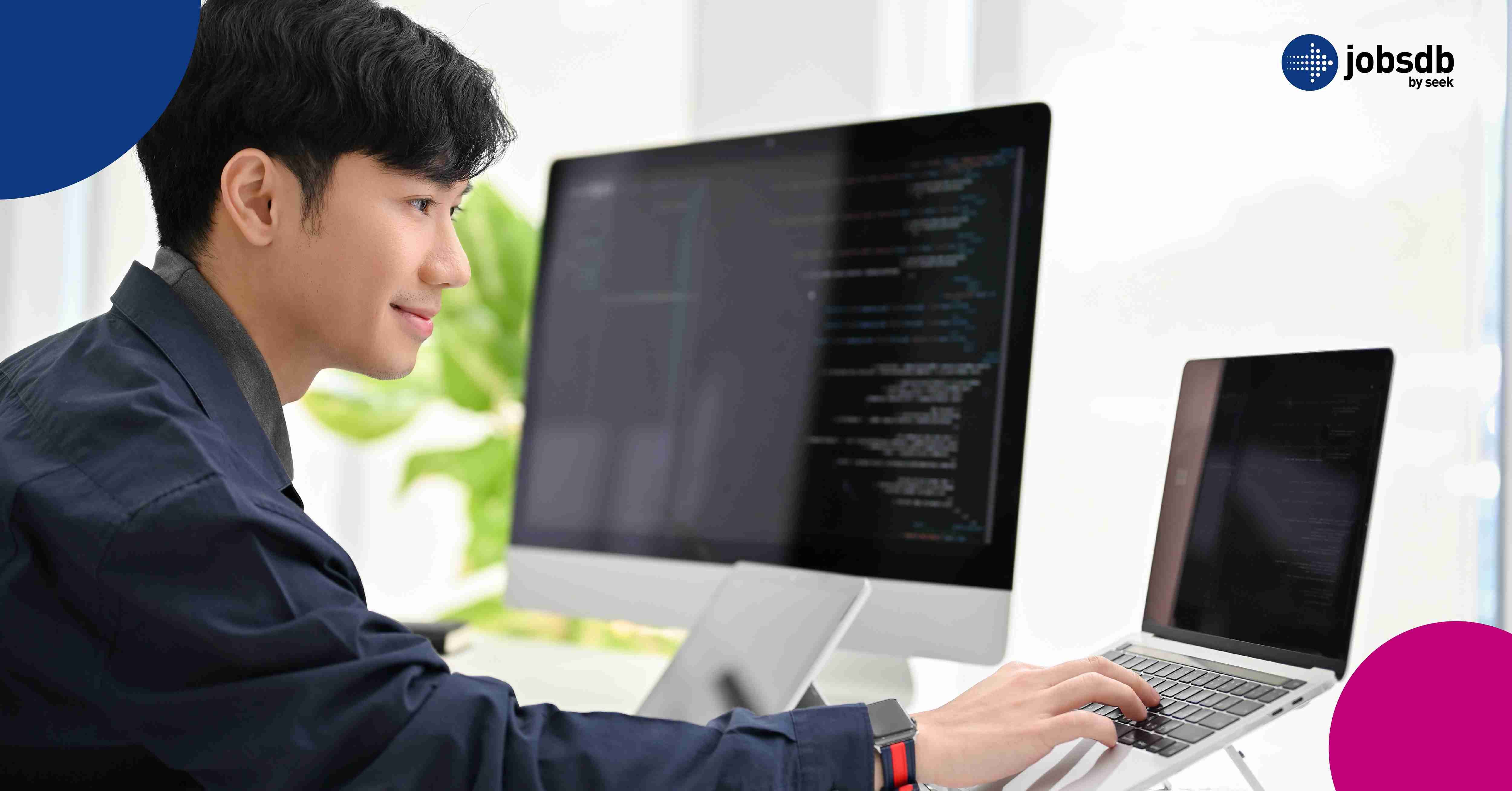 Software Developer